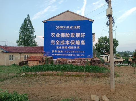 淳安墙体广告为何受追捧?